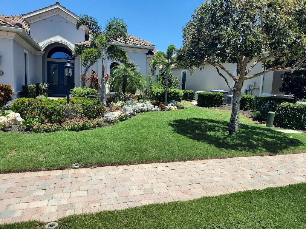 Freshly laid zoysia lawn in front of a Florida home