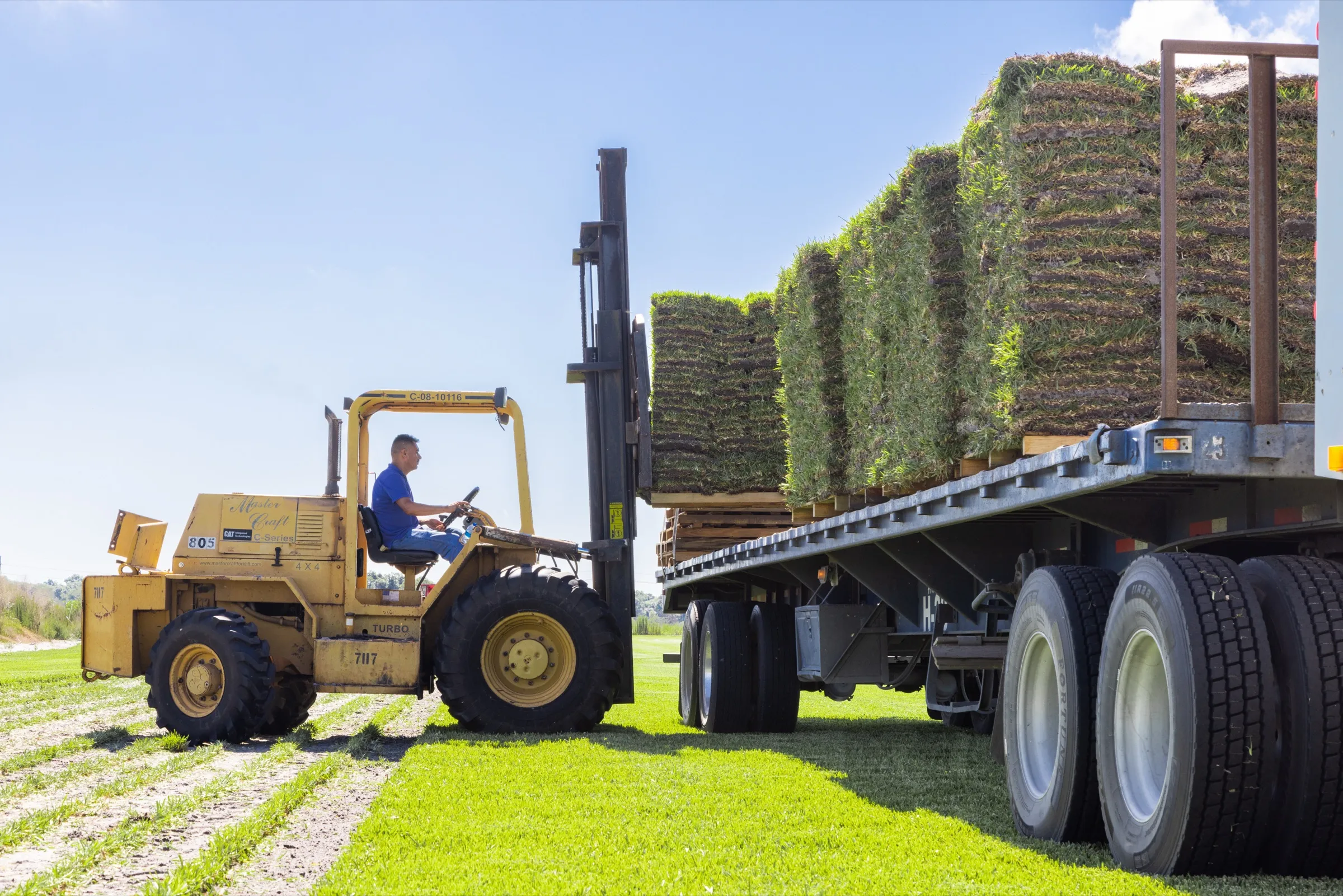 Forklift loading pallets of sod onto a flatbed truck at the farm